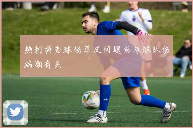 热刺调查球场草皮问题或与球队伤病潮有关