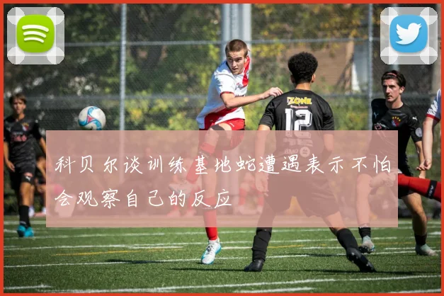 科贝尔谈训练基地蛇遭遇表示不怕会观察自己的反应